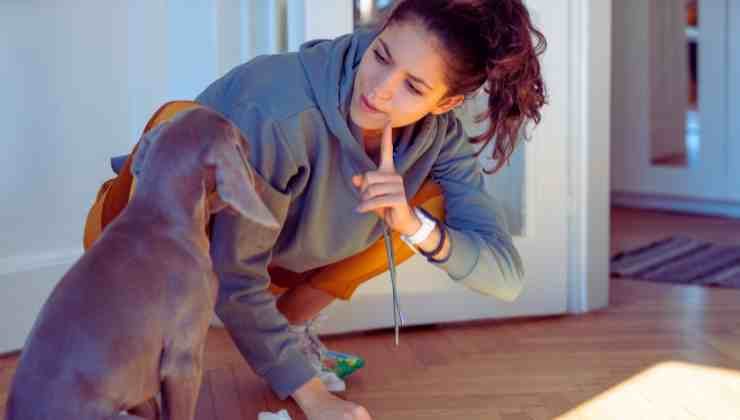 donna che sgrida cane in casa