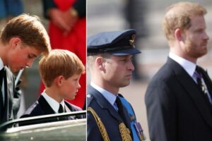 I principi Harry e William