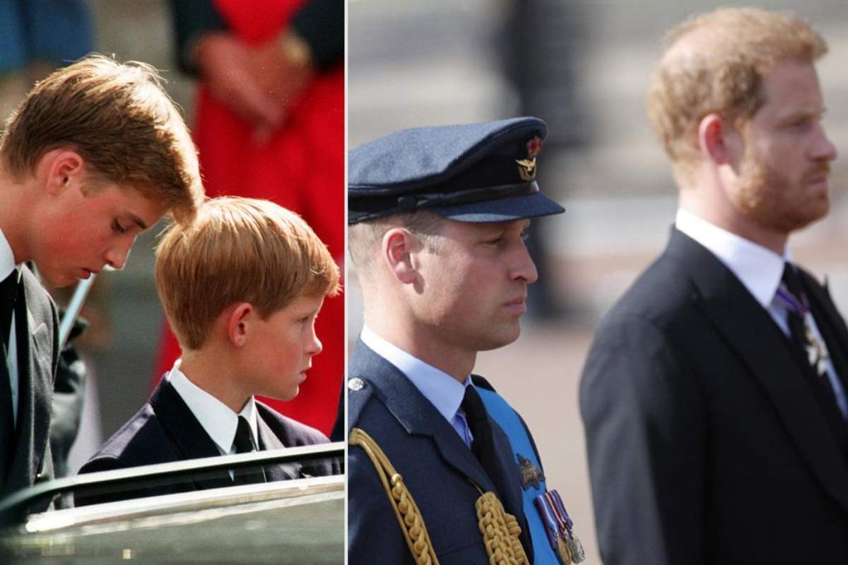 I principi Harry e William