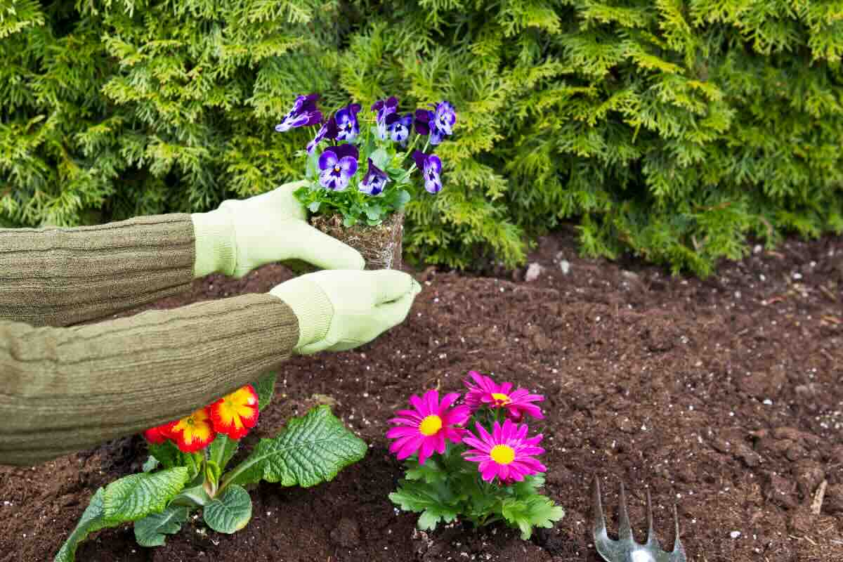 mani che piantano fiori