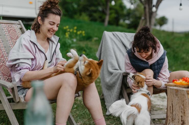 donne che giocano con cani