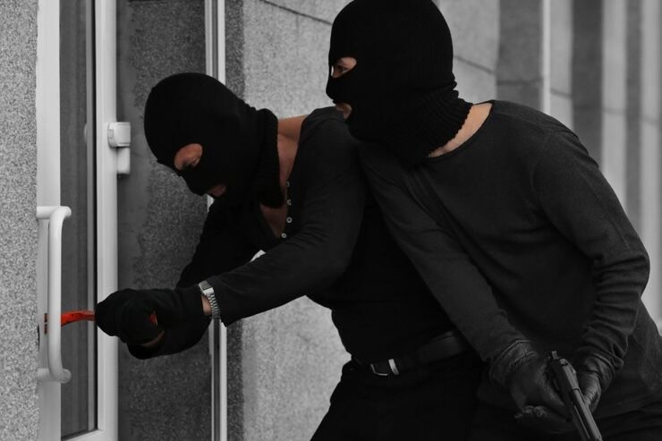 Ladri in azione