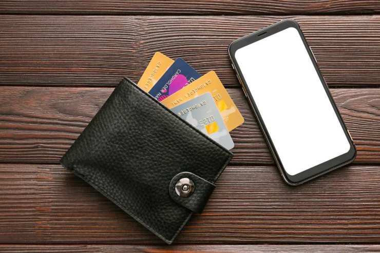 Portafoglio con carte
