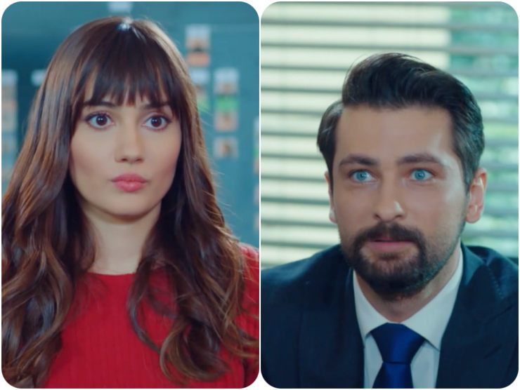 zeynep ed alihan di forbidden fruit