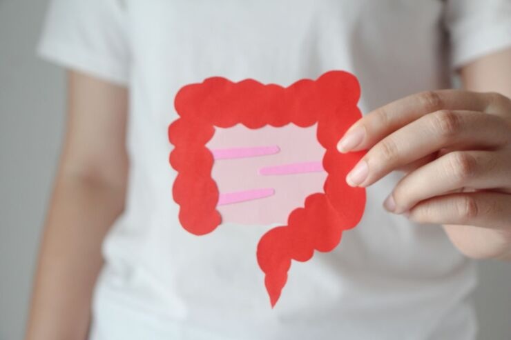Mano di donna tiene cartoncino con disegno intestino, colon