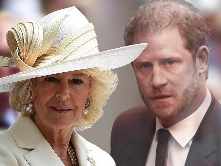 camilla e harry