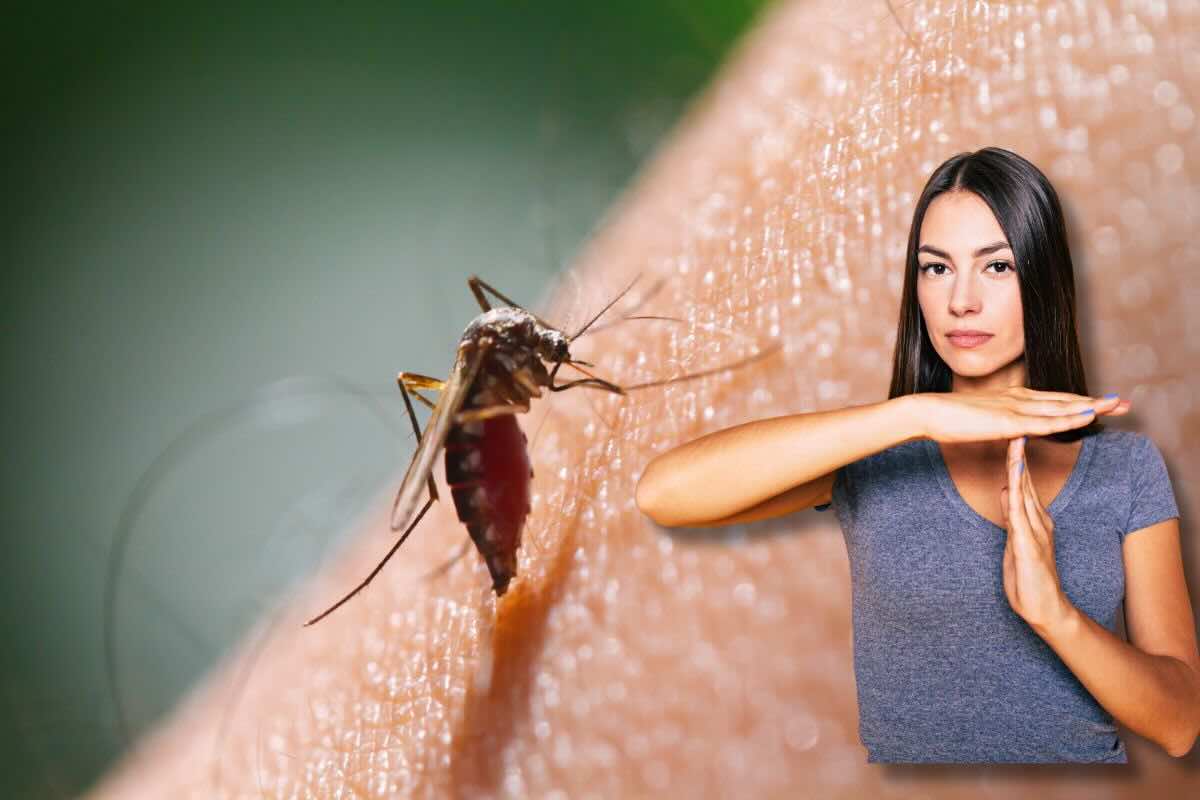 Zanzara sul braccio, ragazza fa stop con le mani